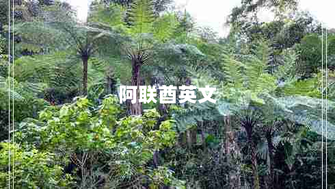 阿聯(lián)酋英文