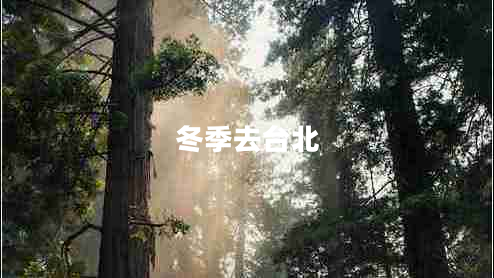 冬季去臺北