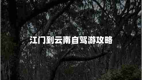 江門(mén)到云南自駕游攻略