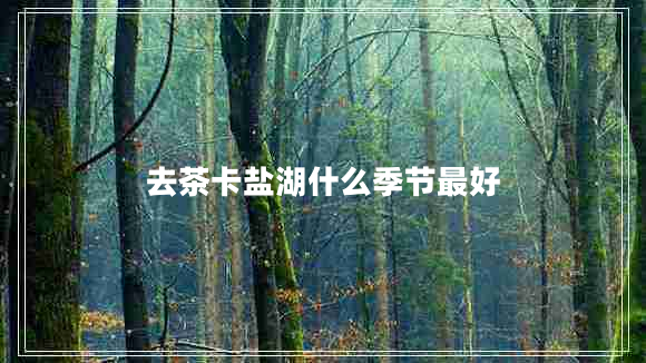 去茶卡鹽湖什么季節最好