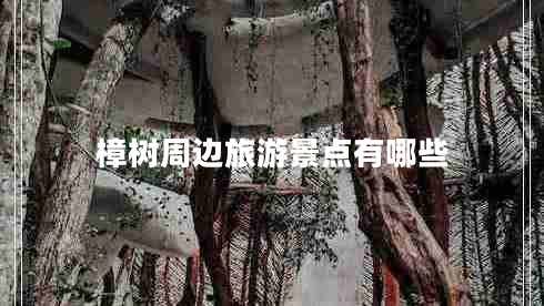 樟樹(shù)周邊旅游景點(diǎn)有哪些