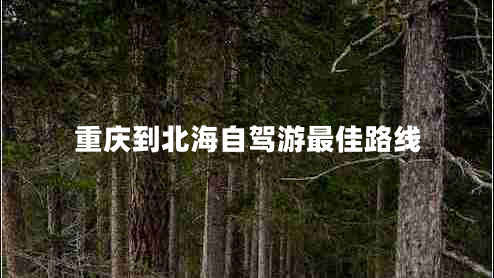 重慶到北海自駕游最佳路線(xiàn)