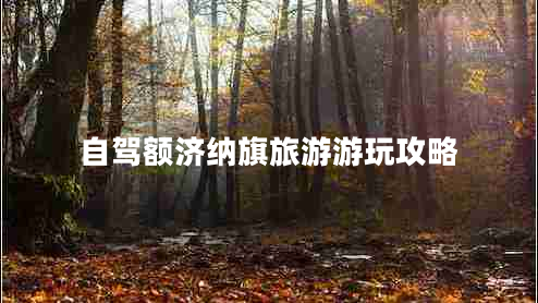 自駕額濟納旗旅游游玩攻略
