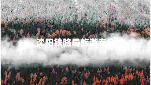 沈陽(yáng)鐵路局旅游專(zhuān)列