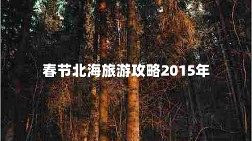 春節北海旅游攻略2015年