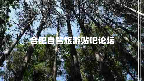 合肥自駕旅游貼吧論壇