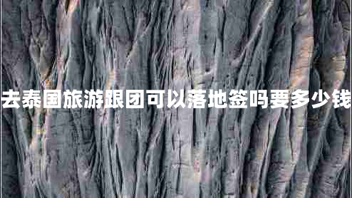 去泰國旅游跟團可以落地簽嗎要多少錢(qián)