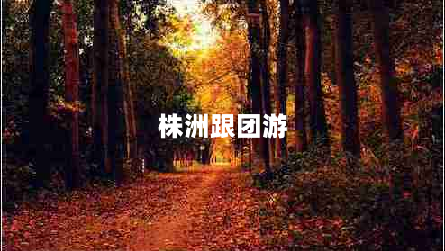株洲跟團游