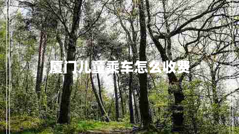 廈門(mén)兒童乘車(chē)怎么收費