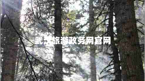 武漢旅游政務(wù)網(wǎng)官網(wǎng)