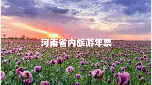 河南省內旅游年票
