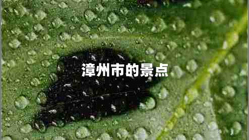 漳州市的景點(diǎn)