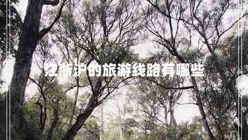 江浙滬的旅游線(xiàn)路有哪些