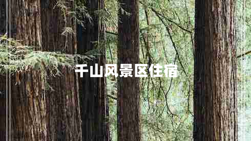 千山風(fēng)景區住宿