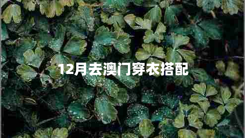 12月去澳門(mén)穿衣搭配