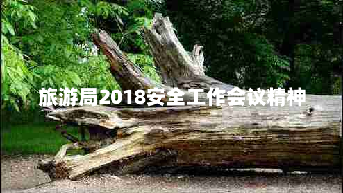 旅游局2018安全工作會(huì )議精神