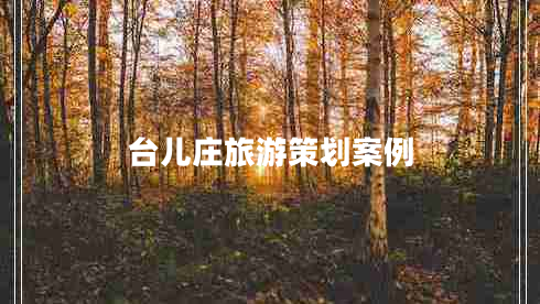 臺兒莊旅游策劃案例