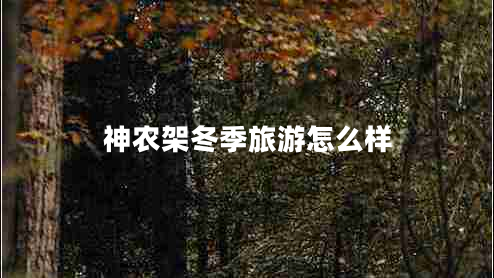 神農架冬季旅游怎么樣