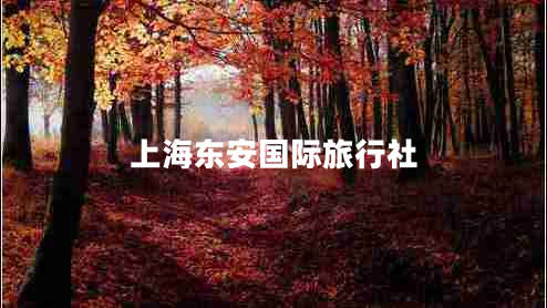 上海東安國際旅行社