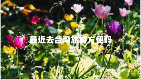 最近去臺灣旅游方便嗎