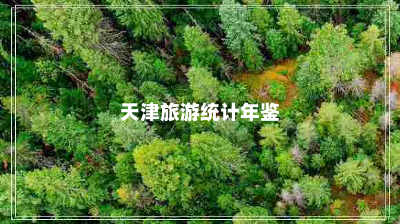 天津旅游統計年鑒