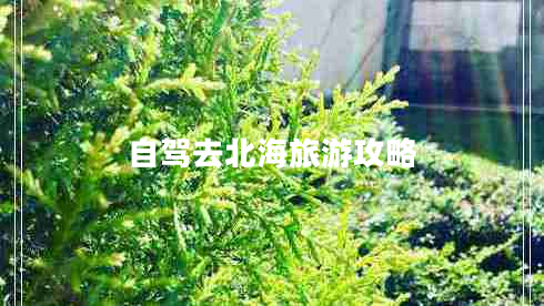 自駕去北海旅游攻略