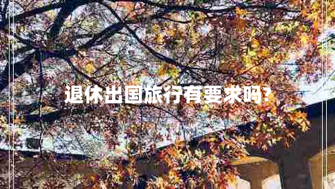 退休出國旅行有要求嗎?