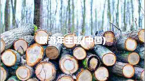 旅游年主題(中國)