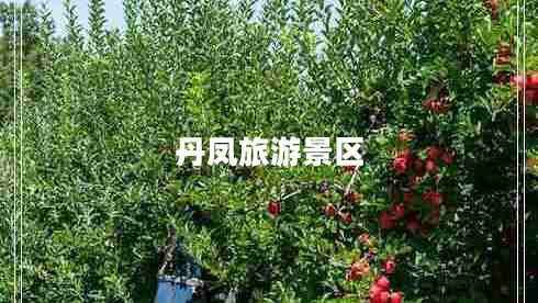 丹鳳旅游景區
