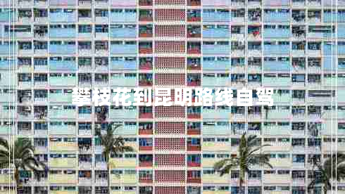 攀枝花到昆明路線(xiàn)自駕