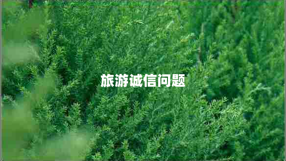 旅游誠信問(wèn)題
