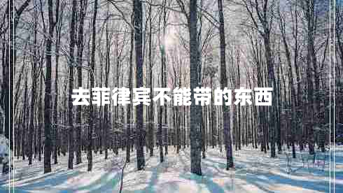 去菲律賓不能帶的東西