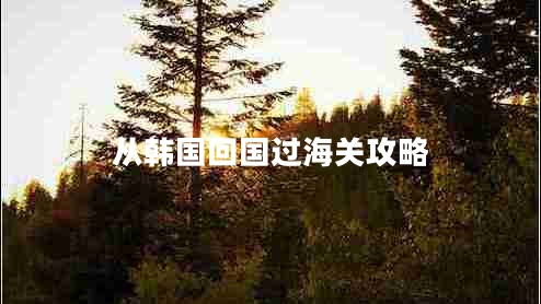 從韓國回國過(guò)海關(guān)攻略