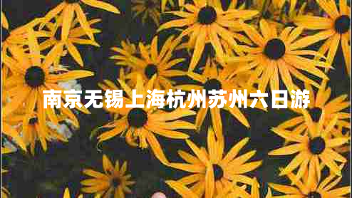 南京無(wú)錫上海杭州蘇州六日游