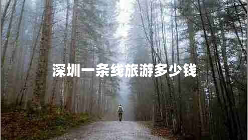 深圳一條線(xiàn)旅游多少錢(qián)