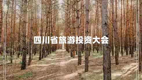 四川省旅游投資大會(huì )