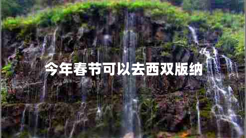 今年春節可以去西雙版納