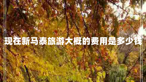 現在新馬泰旅游大概的費用是多少錢(qián)