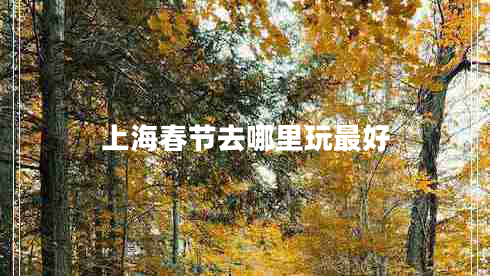 上海春節去哪里玩最好