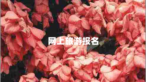 網(wǎng)上旅游報名