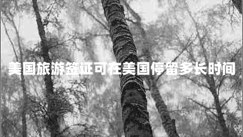 美國旅游簽證可在美國停留多長(cháng)時(shí)間