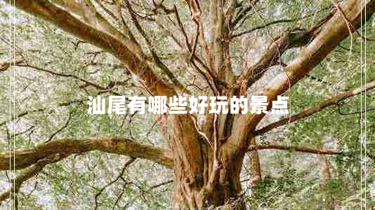 汕尾有哪些好玩的景點(diǎn)