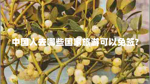 中國人去哪些國家旅游可以免簽?