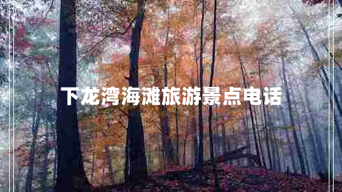 下龍灣海灘旅游景點(diǎn)電話(huà)
