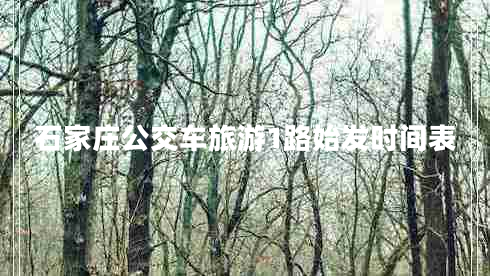 石家莊公交車(chē)旅游1路始發(fā)時(shí)間表