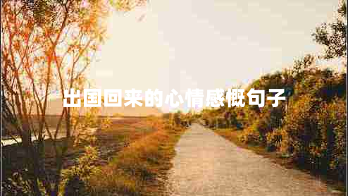 出國回來(lái)的心情感慨句子