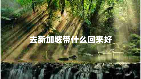 去新加坡帶什么回來(lái)好