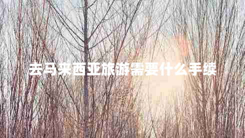 去馬來(lái)西亞旅游需要什么手續