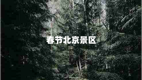 春節北京景區