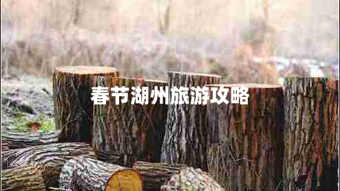 春節湖州旅游攻略